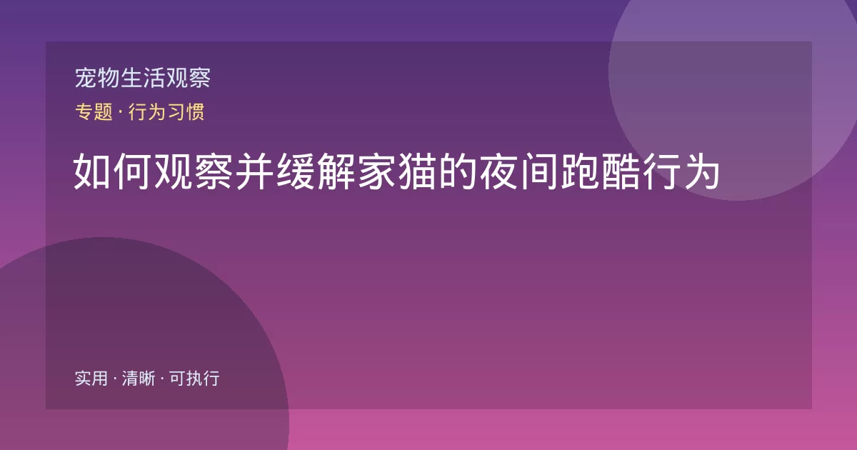 如何观察并缓解家猫的夜间跑酷行为